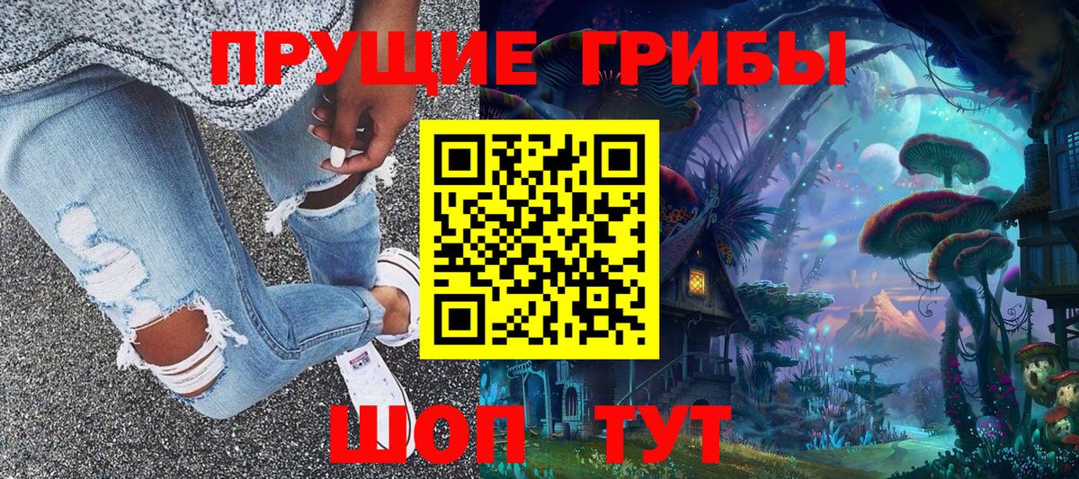 Псилоцибиновые грибы Psilocybe  купить наркоту  Дмитров  Вход с VPN  Псилоцибиновые грибы Psilocybe 